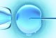 La Fécondation in Vitro ( FIV ) ICSI